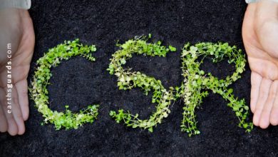 كيف يمكن أن تصبح شركتك أكثر استدامةً مجتمعيًّا؟