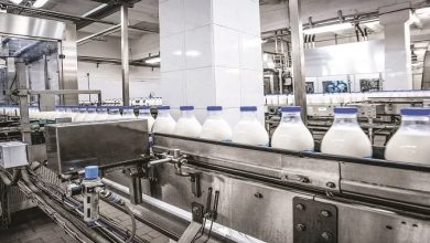 صناعة الألبان