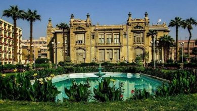 جهود جامعة عين شمس في التحول الأخضر