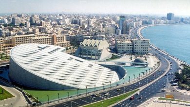 مكتبة الإسكندرية تنظم 