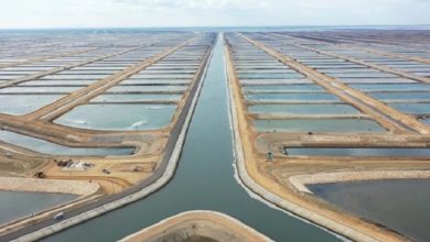 تحديات الاستدامة في مجال الاستزراع المائي