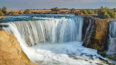 مشروع محمية وادي الريان