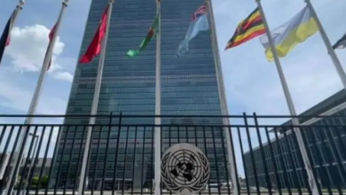 جهود مصر في التنمية المستدامة