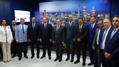 السيليكون وإنشاء مجمع جديد له في مصر