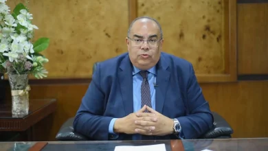 محمود محيي الدين