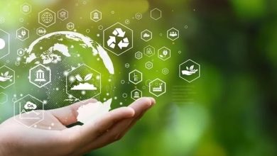 مفهوم التنمية المستدامة