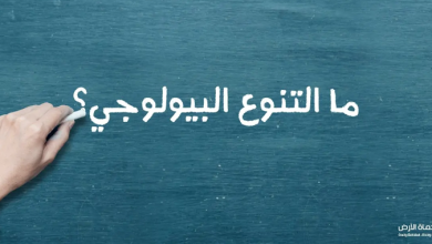 التنوع البيولوجي