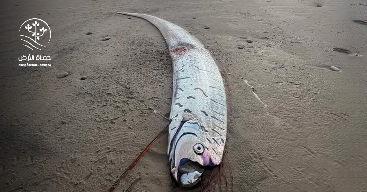 ومات عن سمكة يوم القيامة