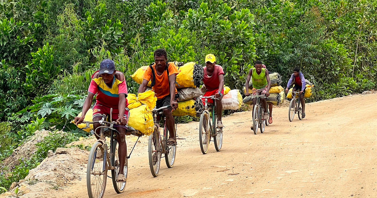 نهوض الجنوب العالمي