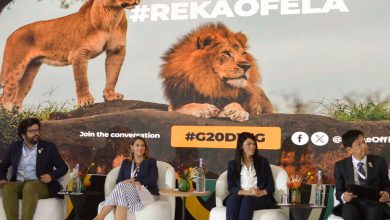 التنمية الاقتصادية