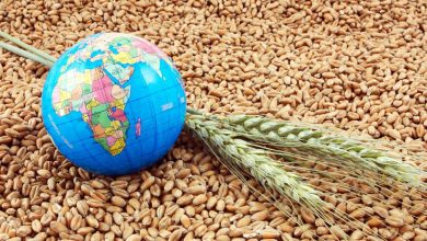 الأمن الغذائي