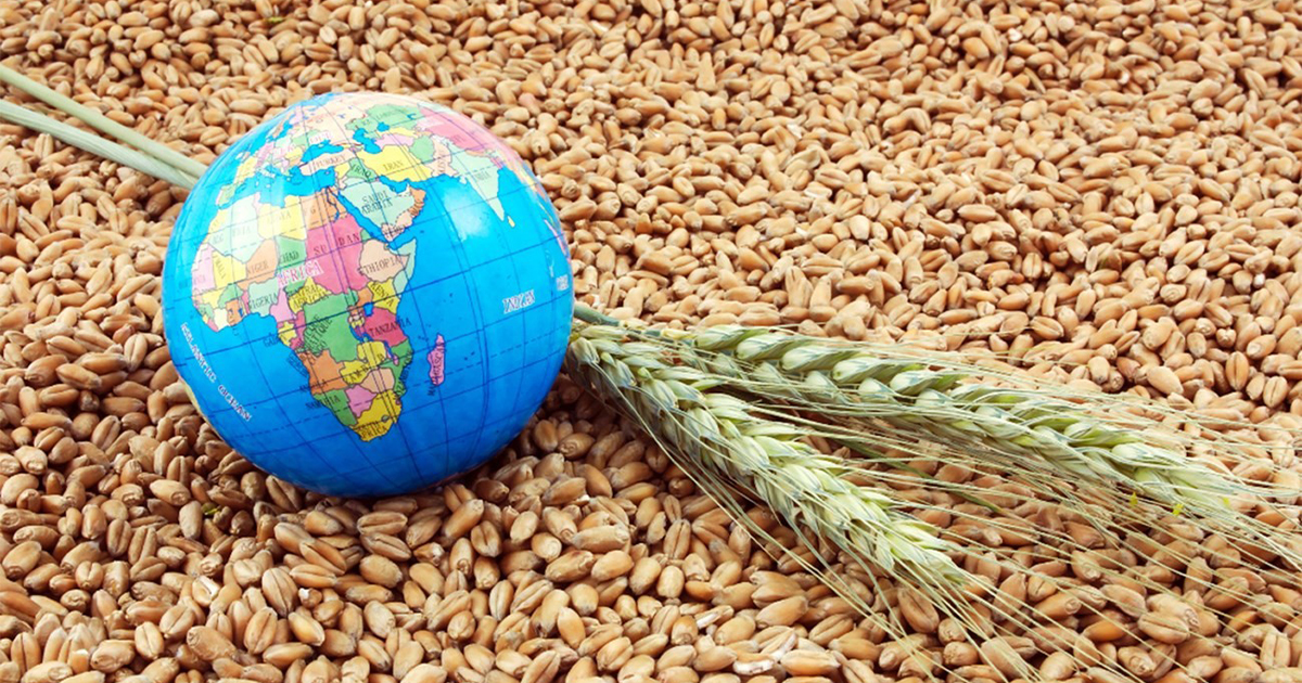 الأمن الغذائي