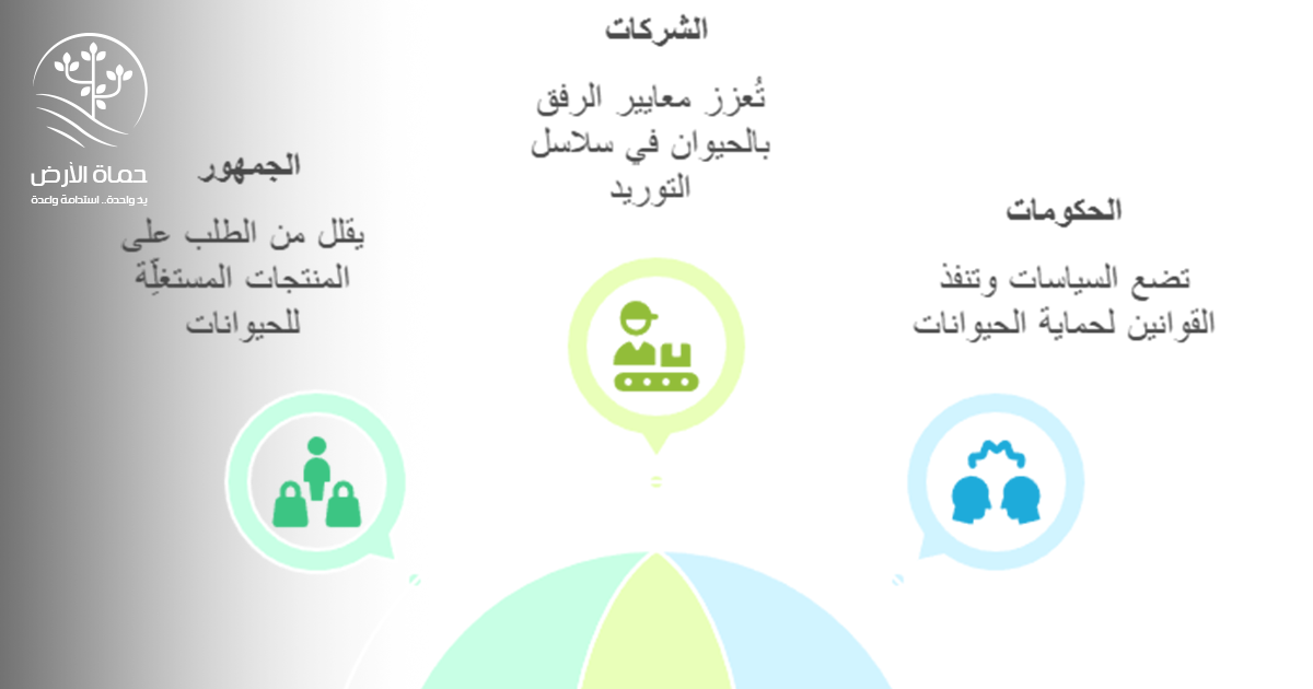 مَن يحمي الحيوانات؟