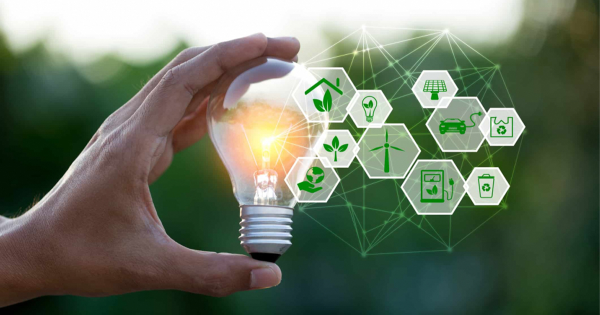 النمو العضوي