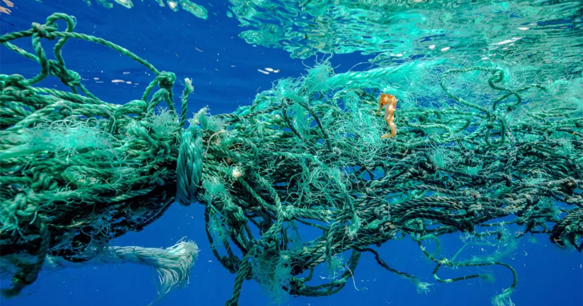 الصيد الشبحي