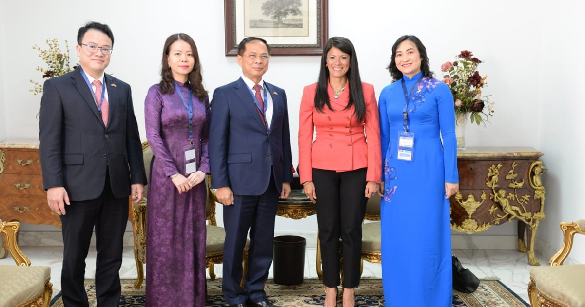 القطاع الخاص المصري والفيتنامي