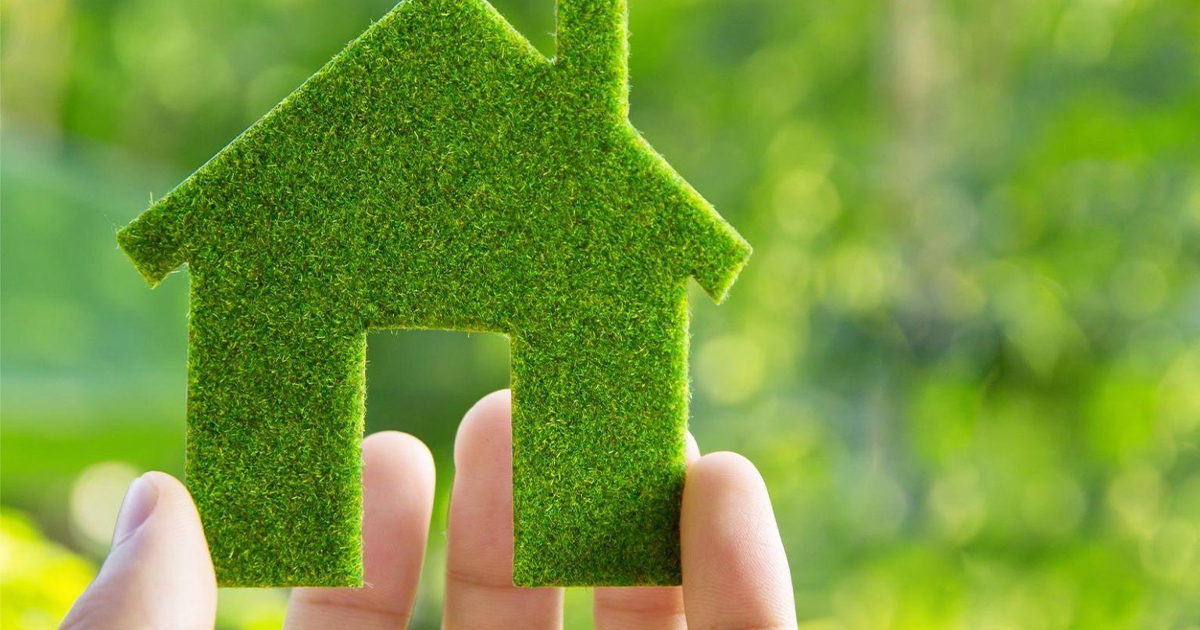 ريادة الأعمال