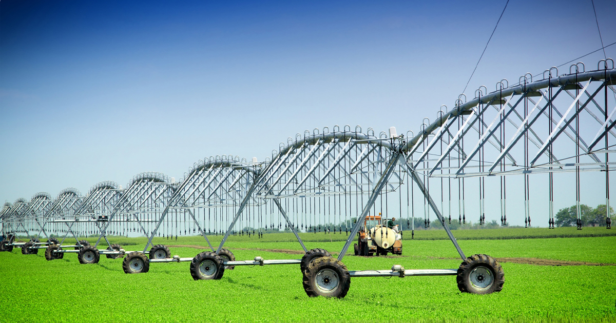 مليون ونصف فدان