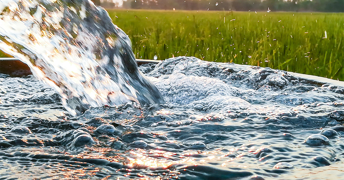 الموارد المائية المصرية