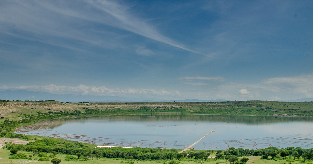 برنامج الإنسان والمحيط الحيوي