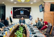 الصناعة