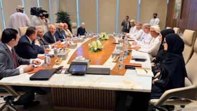 التنمية الصناعية