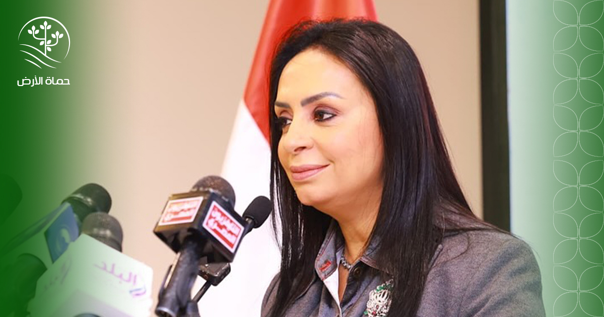 التضامن الاجتماعي