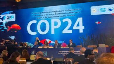 COP24