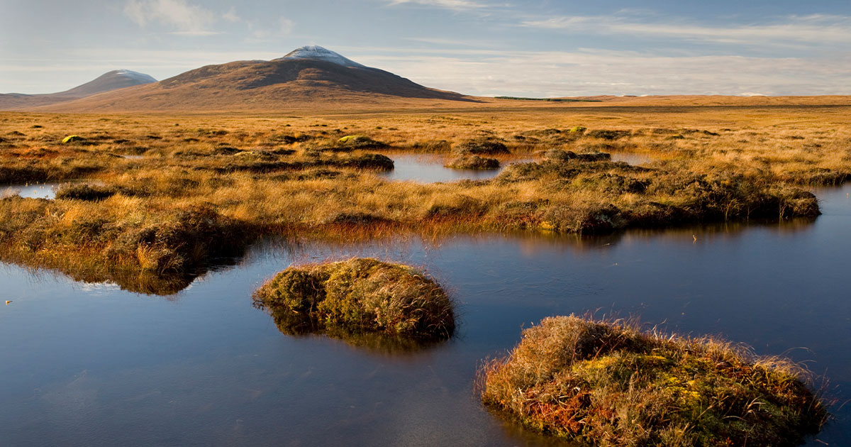 الأراضي الخثية