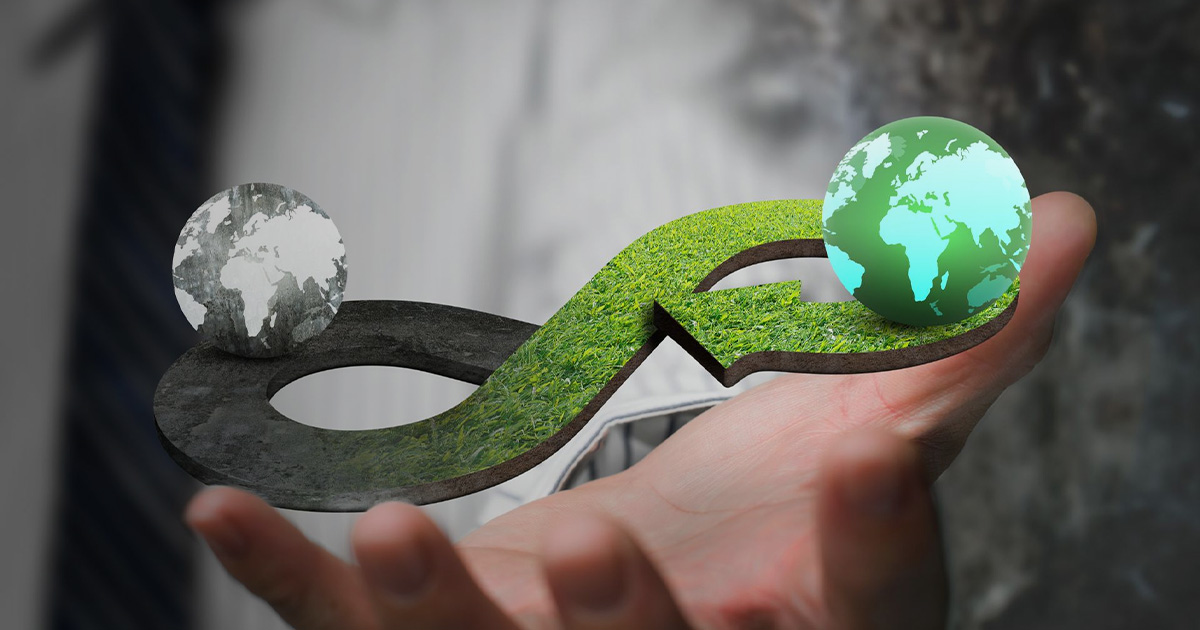 الدور الاقتصادي