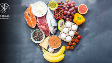 الهرم الغذائي