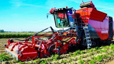 الأمن الغذائي