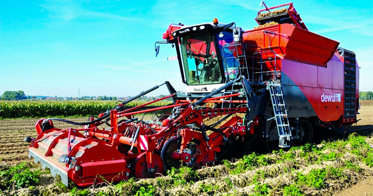 الأمن الغذائي