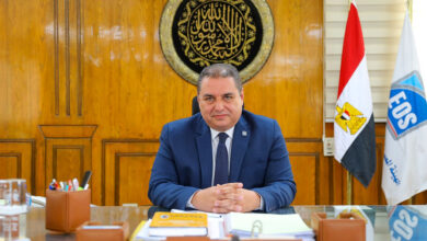 التنمية الصناعية