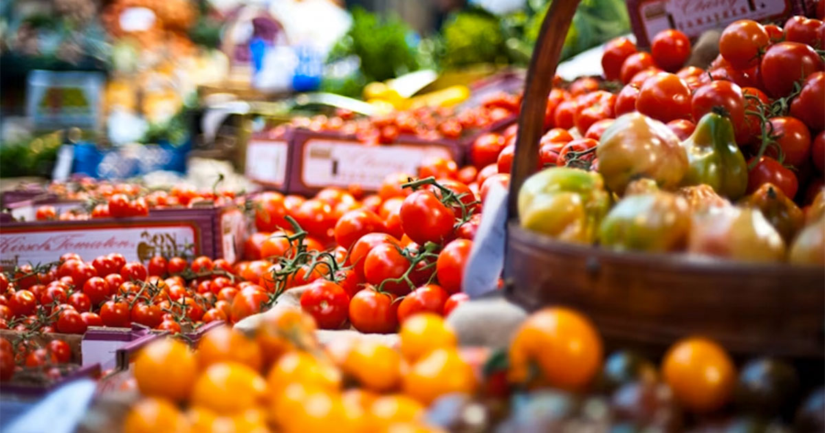 رابعًا- توظيف سياسات التجارة للارتقاء بمستوى المنتجات المصدّرة