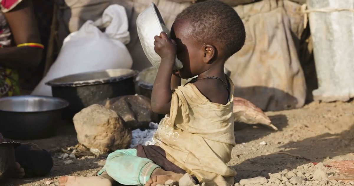 المؤسسات الدولية على خط المواجهة