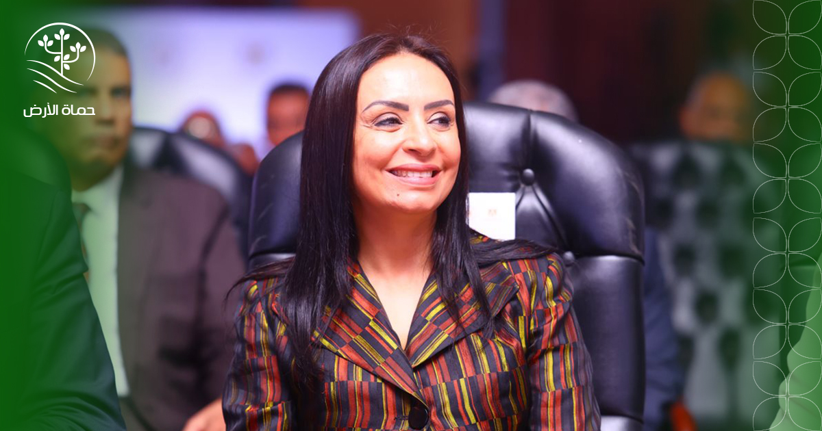 التضامن الاجتماعي