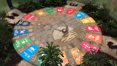 التنمية المستدامة