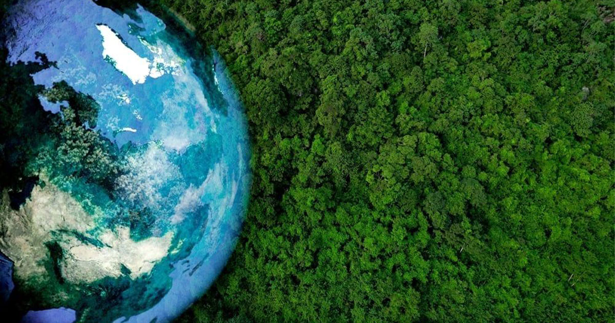 الاستجابة المؤسسية وإدارة المخاطر البيئية