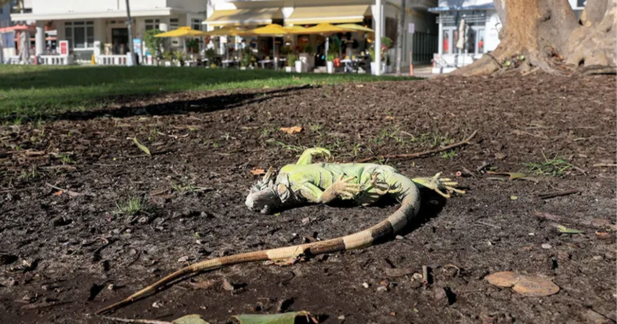 التوازن البيئي