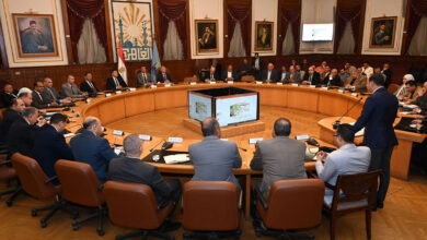 تنمية الصادرات