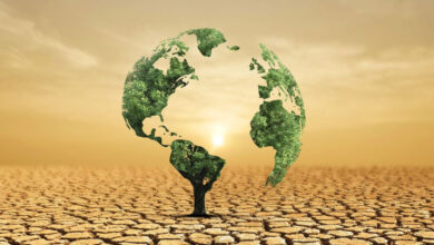 التنمية المستدامة