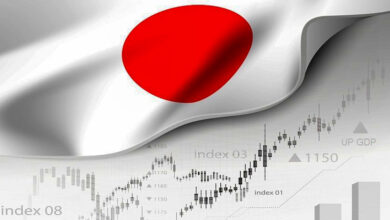 الاستدامة المالية