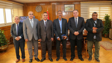 التعاون الفني