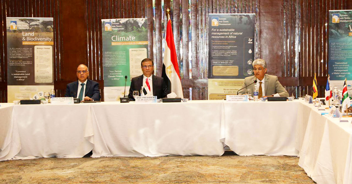 الدورة الثالثة والثلاثين بمشاركة رفيعة