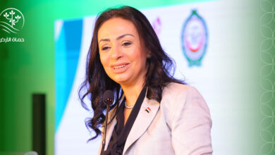 التحول الرقمي