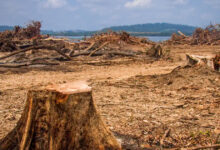 الرقابة البيئية