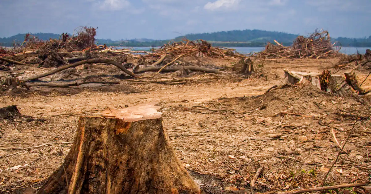 الرقابة البيئية