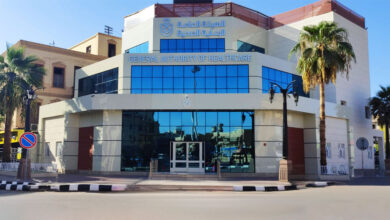 الرعاية الصحية