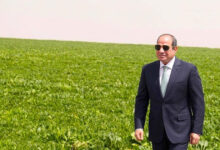 التنمية الزراعية